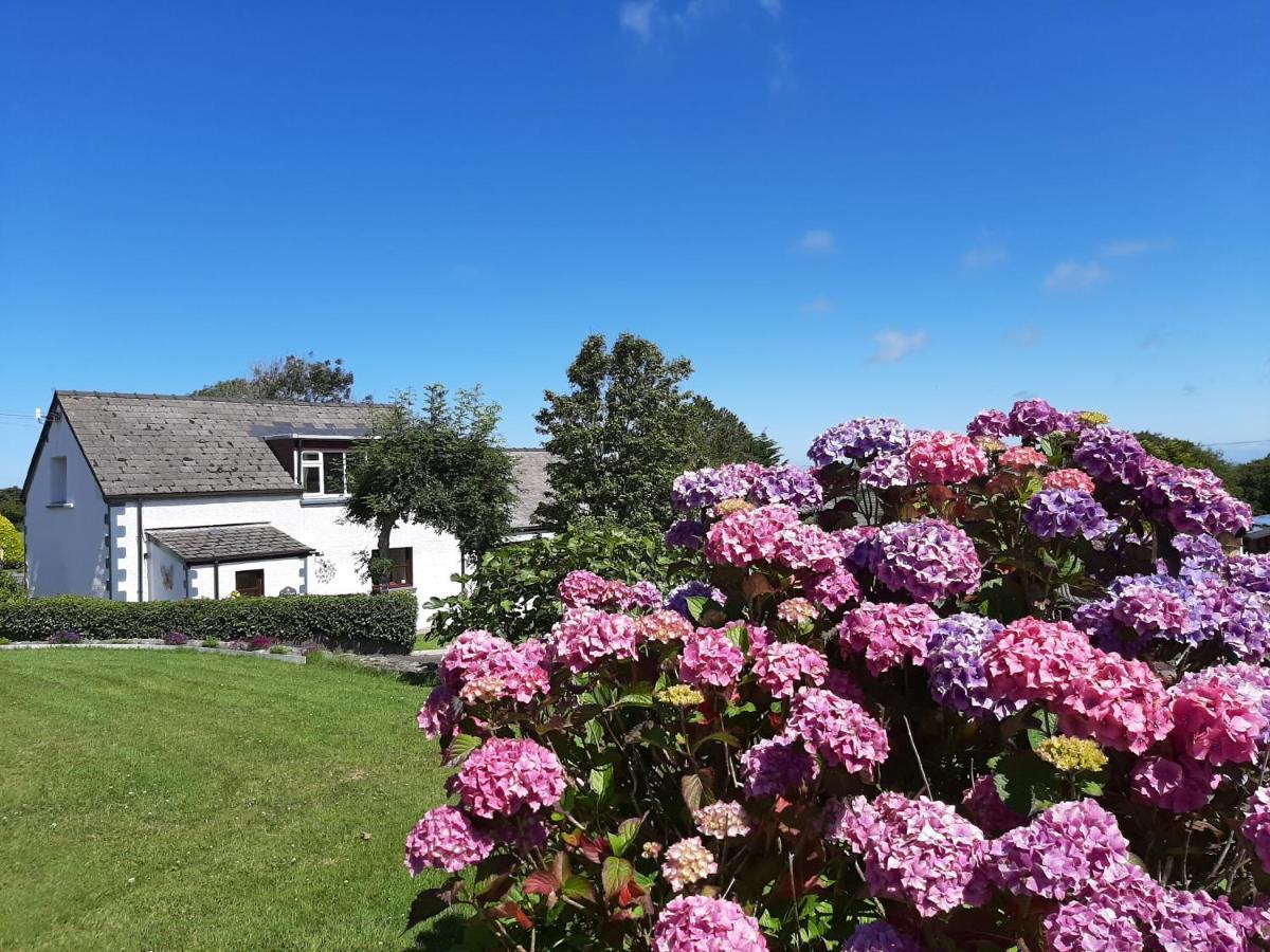 Trenewydd Farm Holiday Cottages Cardigan Kültér fotó