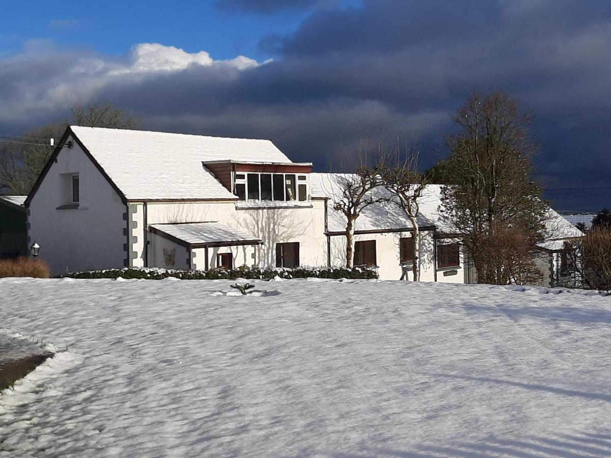 Trenewydd Farm Holiday Cottages Cardigan Kültér fotó