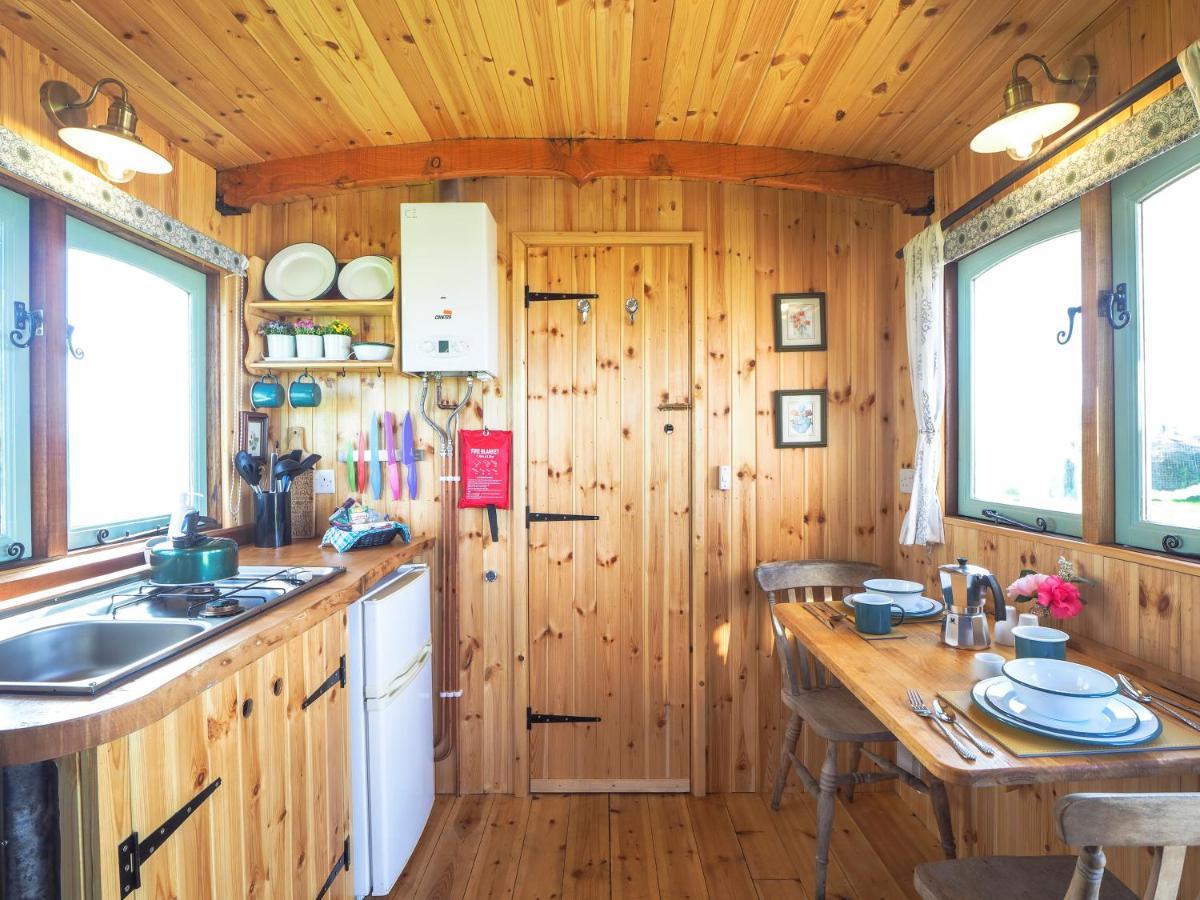 Trenewydd Farm Holiday Cottages Cardigan Kültér fotó