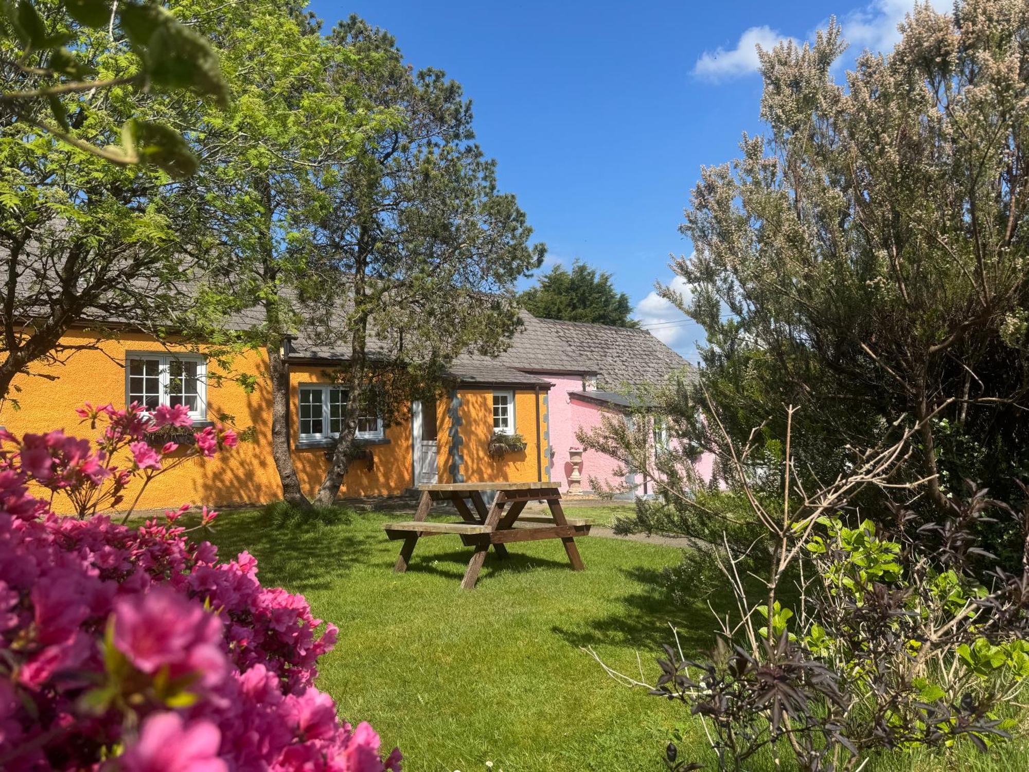 Trenewydd Farm Holiday Cottages Cardigan Kültér fotó
